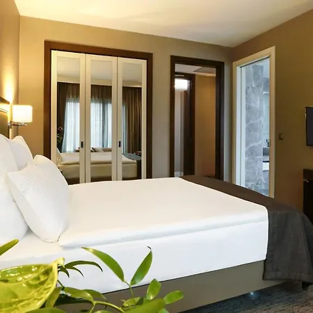Divan Hotel 4*